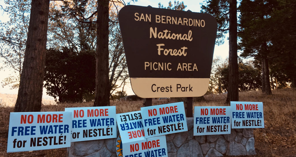 Photo of the San Bernardino National Forest sign surrounded by signs reading "No More Free Water for Nestle"