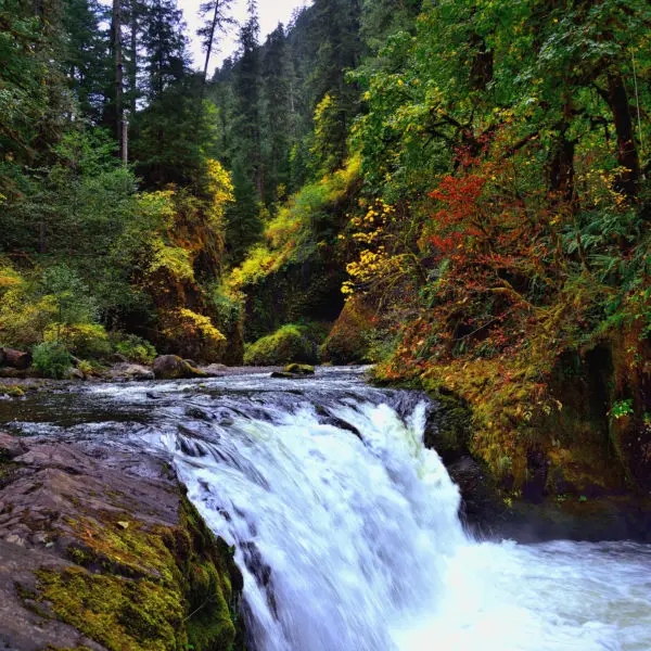 columbia-river-gorge-square-600x600-1